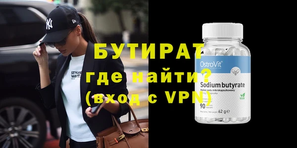шишки Няндома