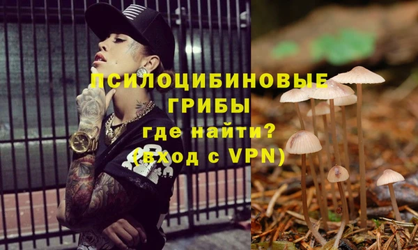 эйфоретик Армянск