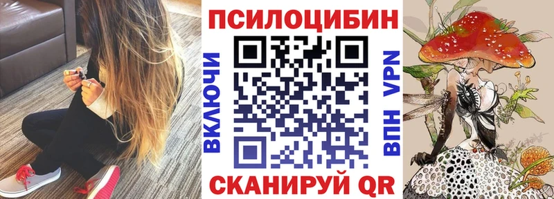 сайты даркнета состав блэк спрут сайт Галлюциногенные грибы мицелий Асбест продажа наркотиков
